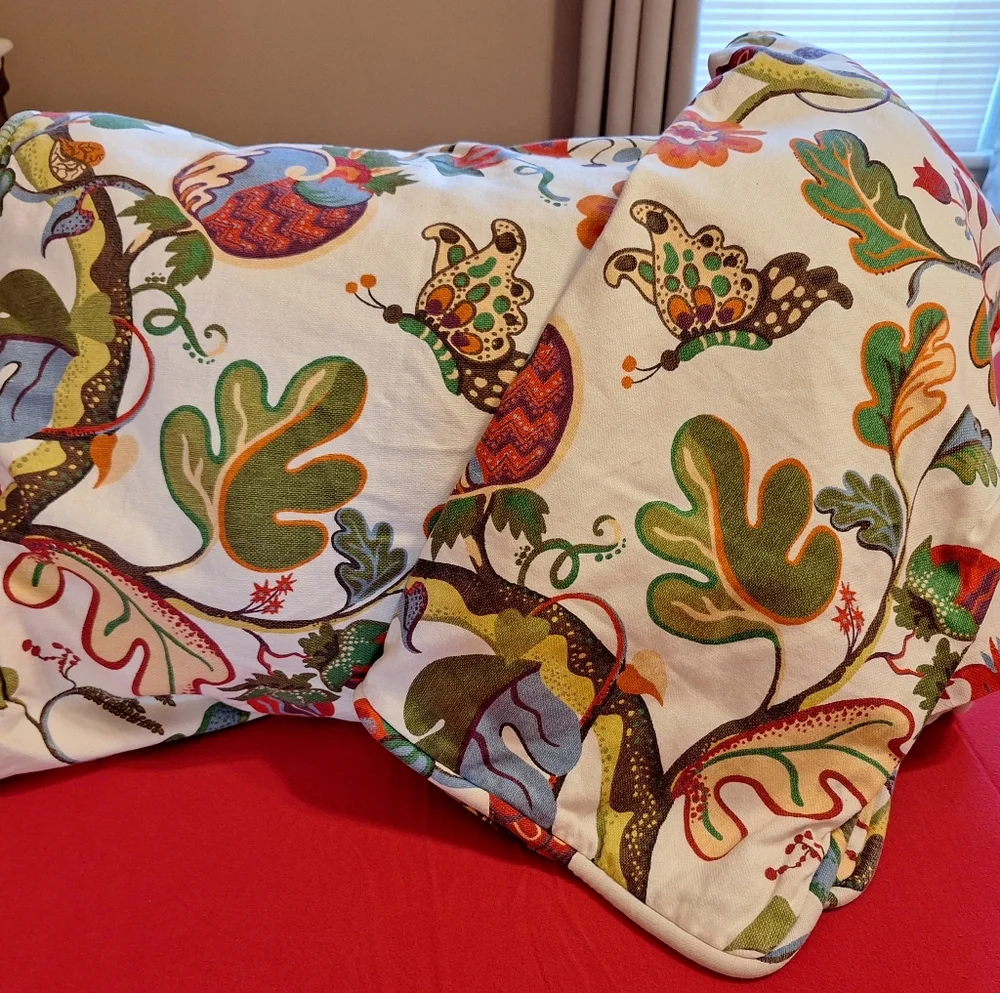 2 Pottery Barn Serafina shams